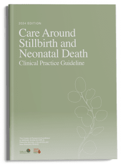 Care Around Stillbirth Neonatal Death Guideline 2024