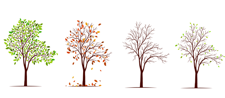 An illustration showing four trees side by side, each representing a different stage of seasonal change. From left to right, the trees transition from full green foliage to autumn colors with falling leaves, then to a bare winter tree, and finally to early regrowth with small new leaves. The sequence visually symbolizes the natural cycle of change, loss, rest, and renewal.
