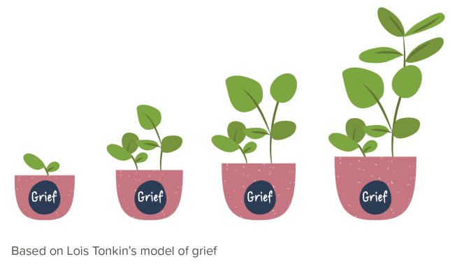 An illustration of four potted plants arranged from smallest to largest, each pot labeled “Grief.” The plants grow progressively taller and fuller from left to right, symbolizing how grief changes and evolves over time rather than disappearing. A caption notes that the concept is based on Lois Tonkin’s model of grief.
